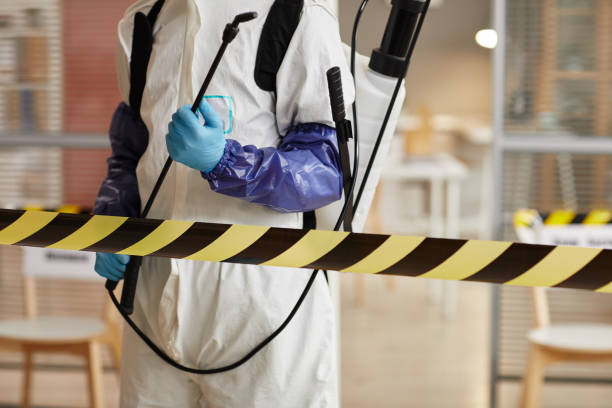 Professional Sewage Cleanup technician working in Hawarden, IA